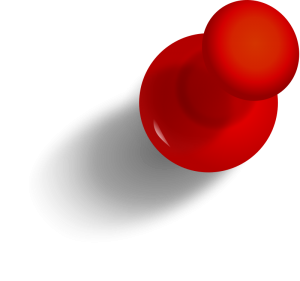 pin